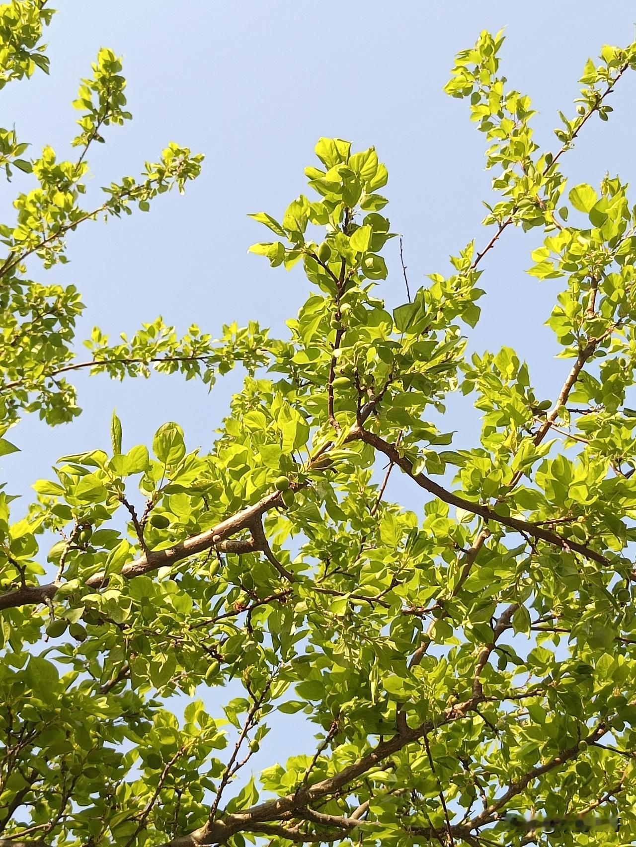 时隔五十年，不少人至今还停留在那个讲家庭出身论阶级成分，一出生就被打上高低不等的
