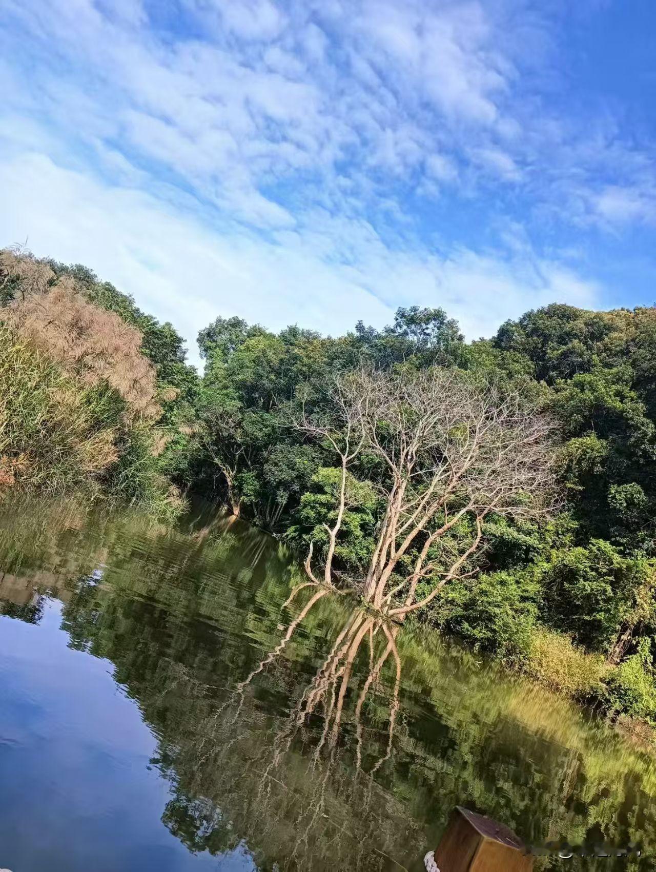 分享一下你随手拍下的照片