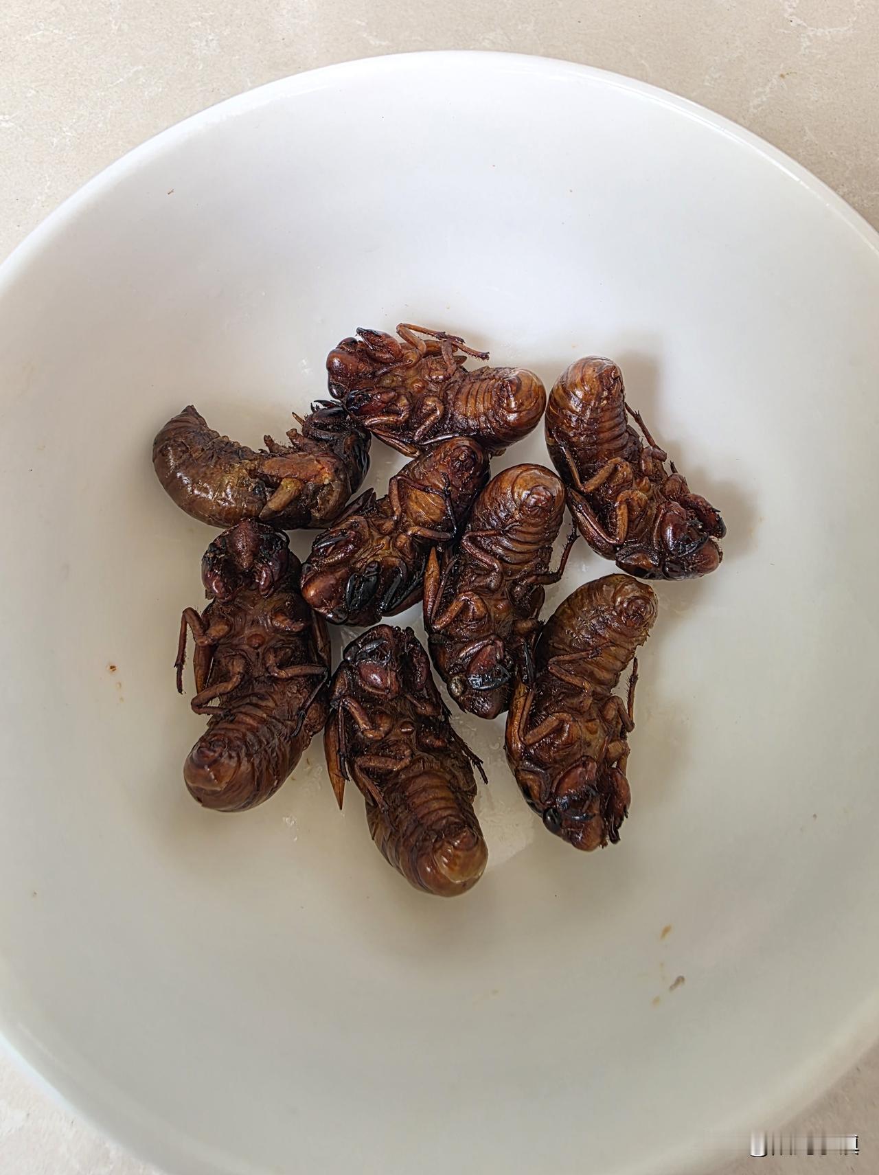 盛夏农家的午饭吃什么……

怎么简单怎么吃，但食材都是最新鲜的。这个时候玉米上市