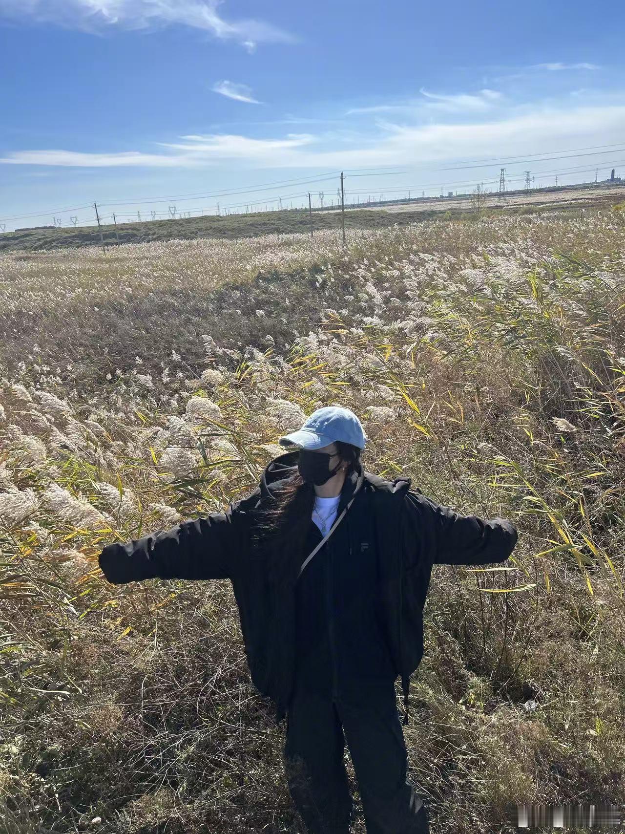 节气博主上线啦，杨幂的小雪十二宫格plog请查收