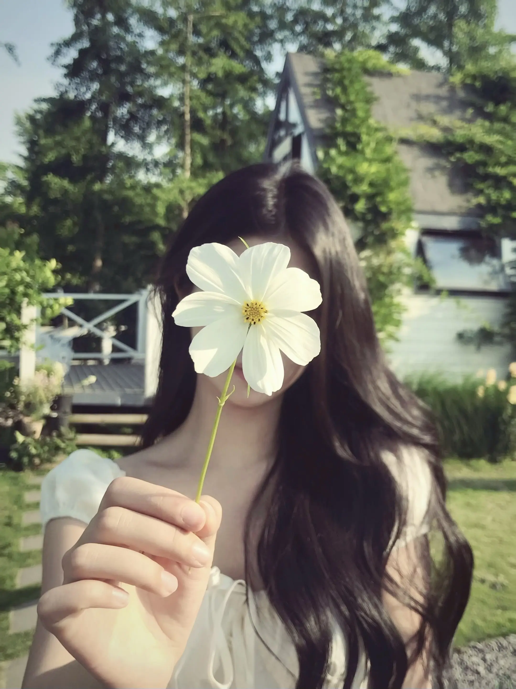 那天我经过一片花园，可是你不在~