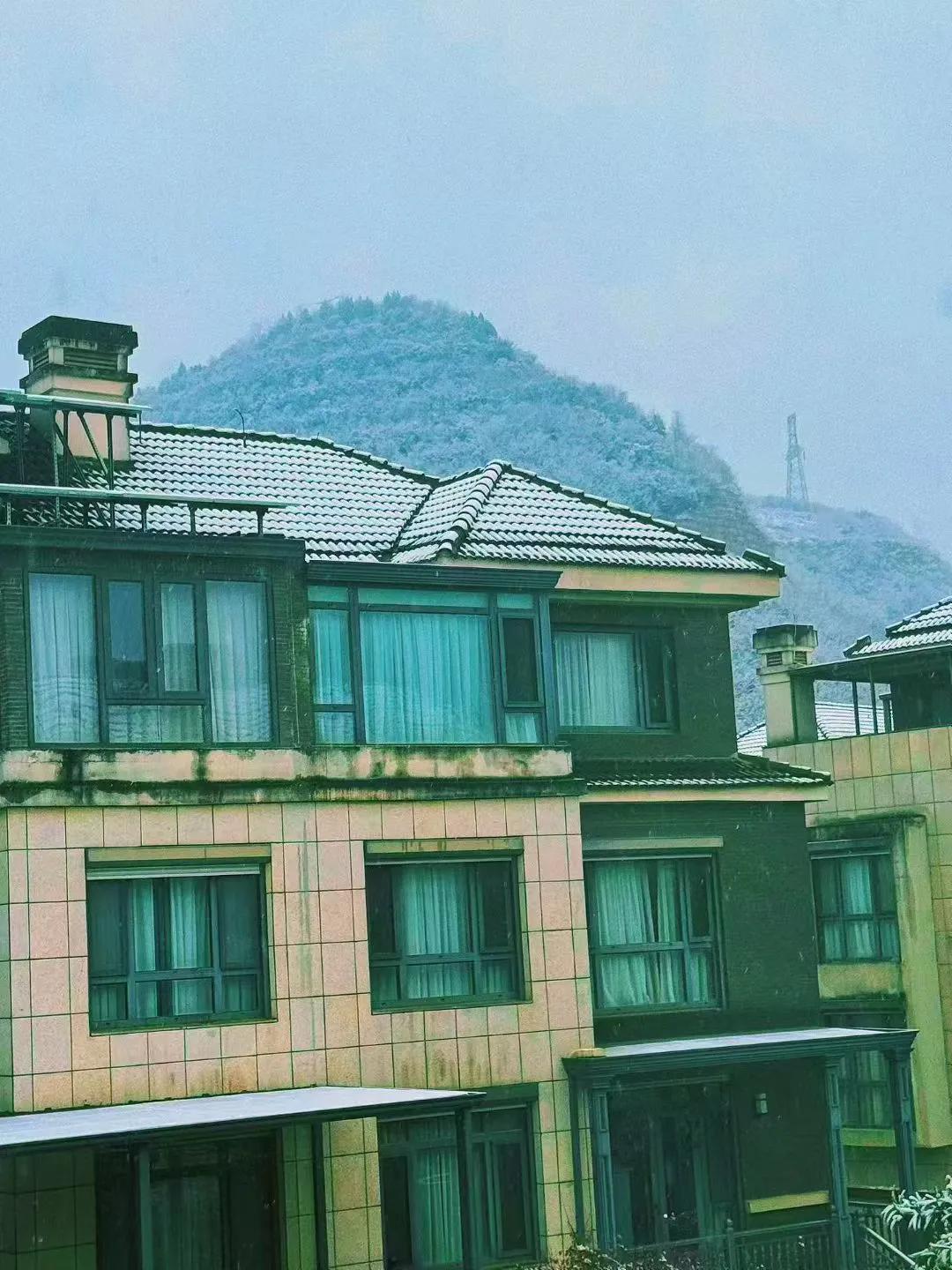 冬日小院，生机盎然，雪后放晴，阳光普照！（顾焕章2026. 元旦. 仙林.）暖和