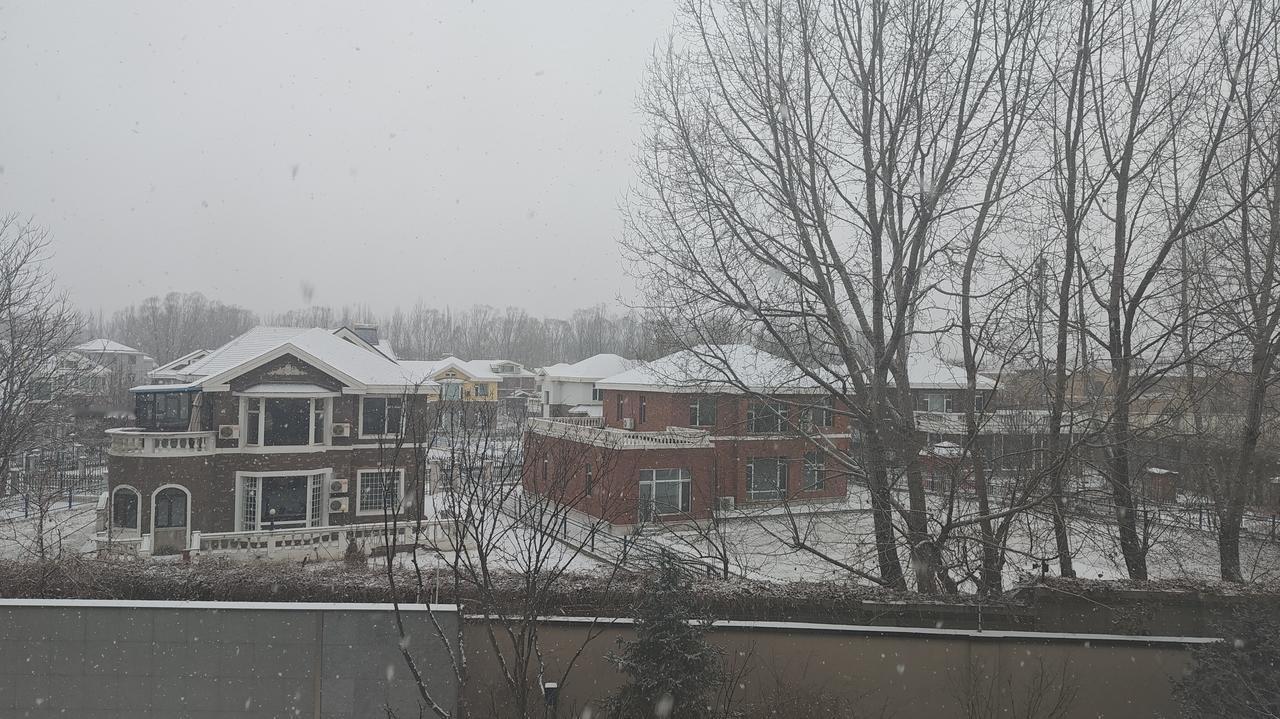 沈阳天气:沈阳气候 沈阳雪景 沈阳清雪 
目前沈阳市区南部出现阵雪天气。
实况：