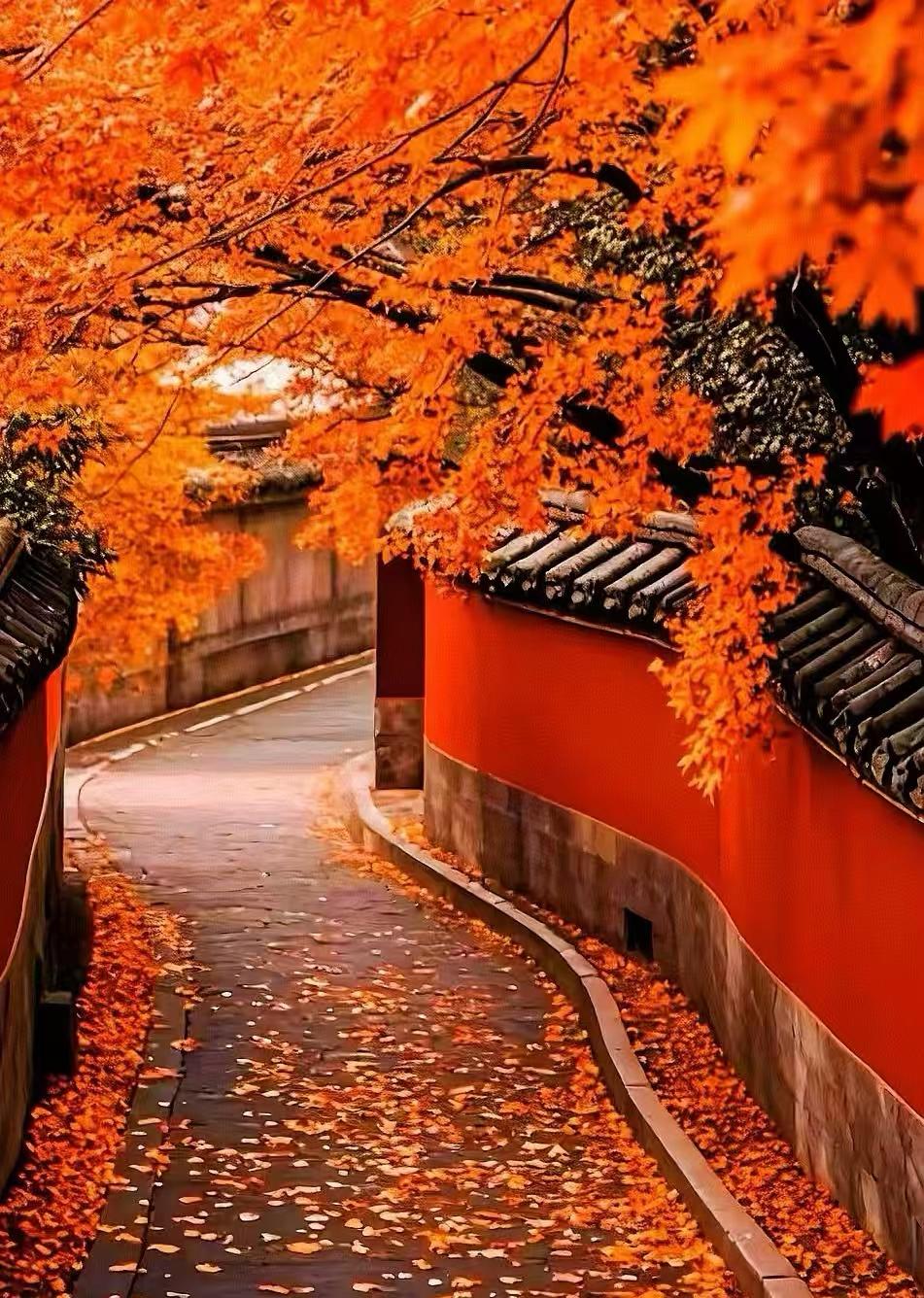 老巷古城憶往事，
歲月靜好故事多。