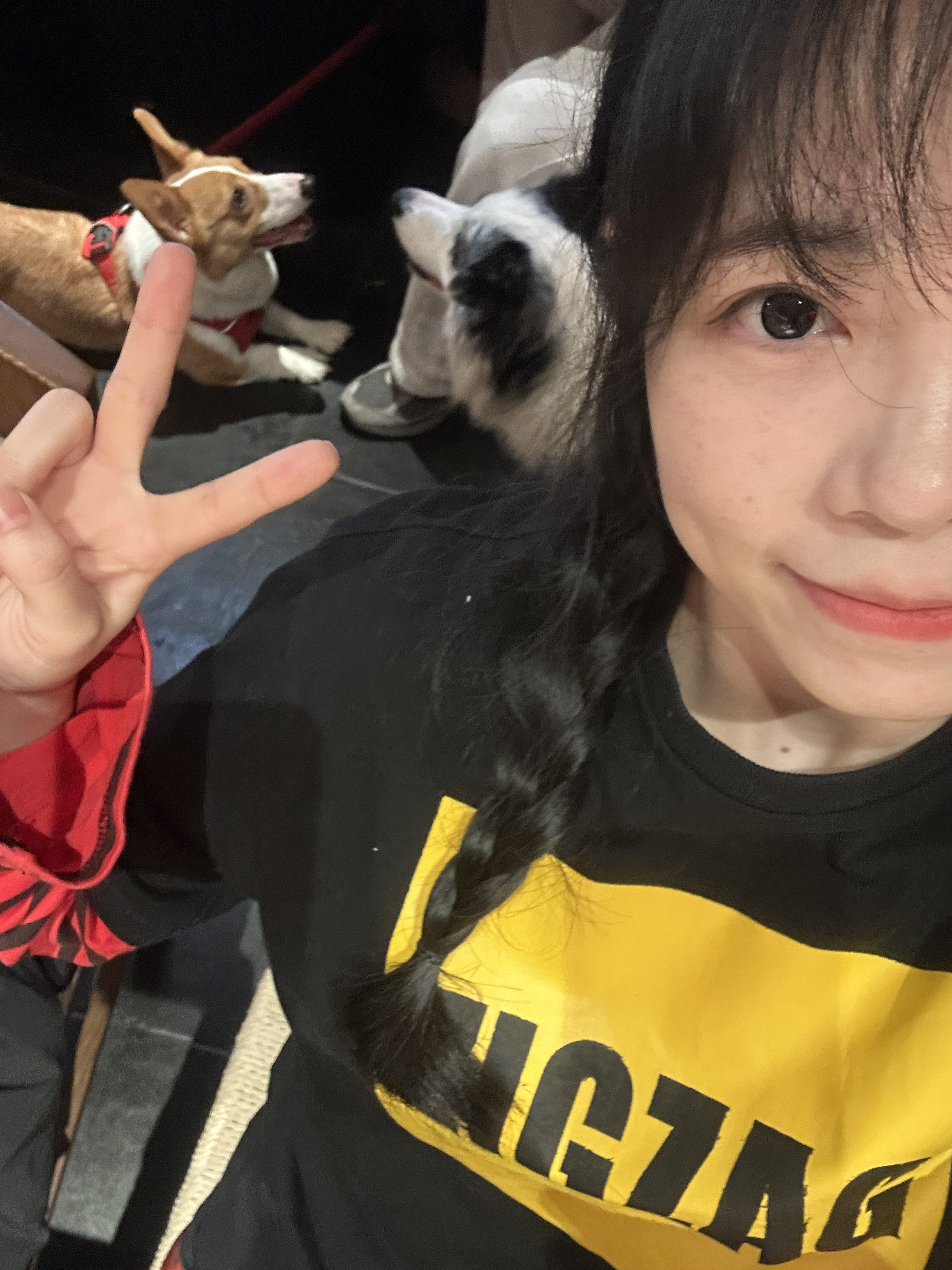 万物皆是路过人间一程，何来的三六九等！呼吁动物保护法反虐待动物