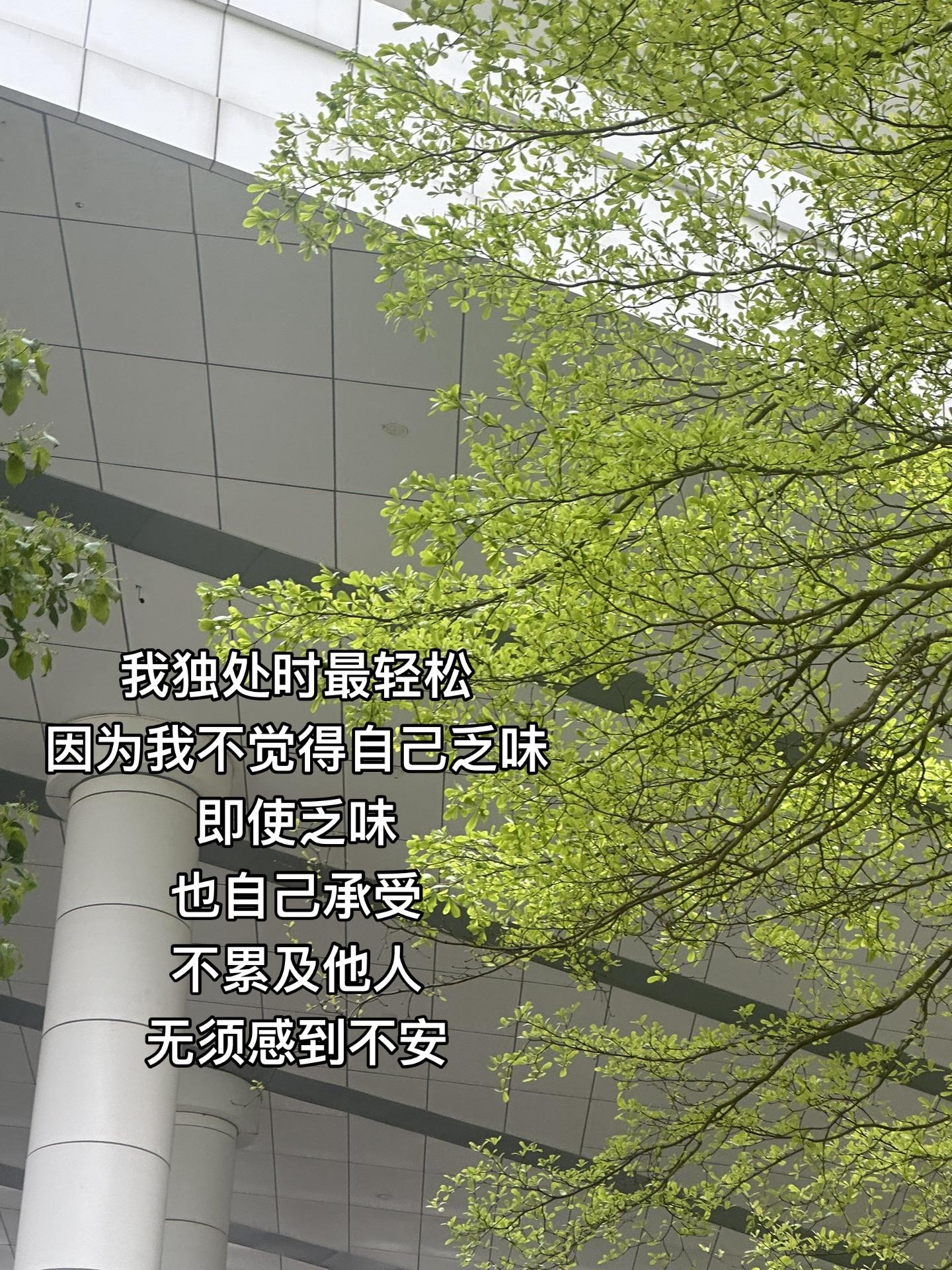 “除非你的加入胜过我的独处”