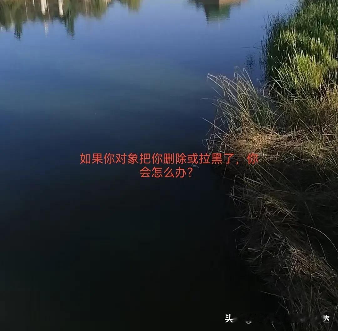 请教一下各位朋友们，如果你对象把你删除或拉黑你了，你会怎么办？

从没有想过心心