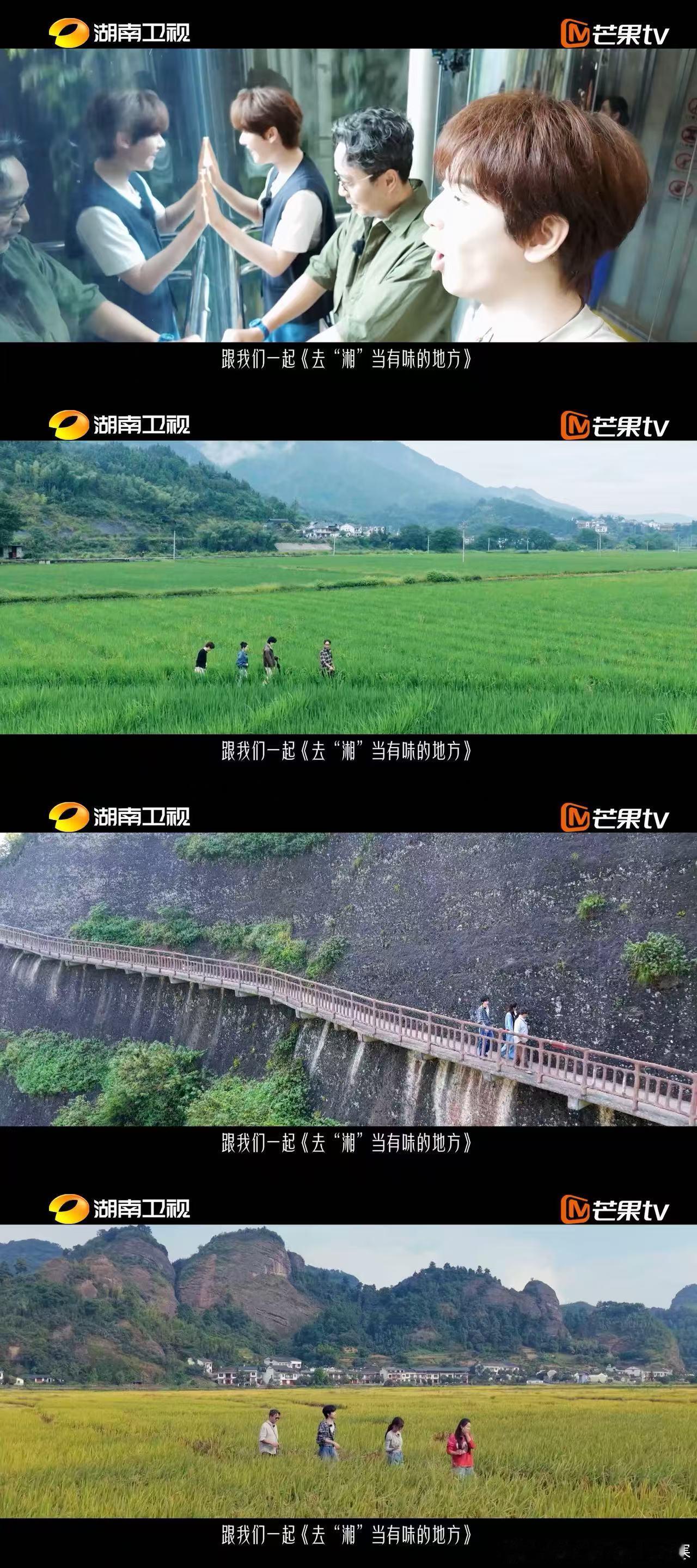 芒果的美食综艺又上新了我维护美食就沈梦辰这样芒果美食综艺新品来袭，谁的DNA动了