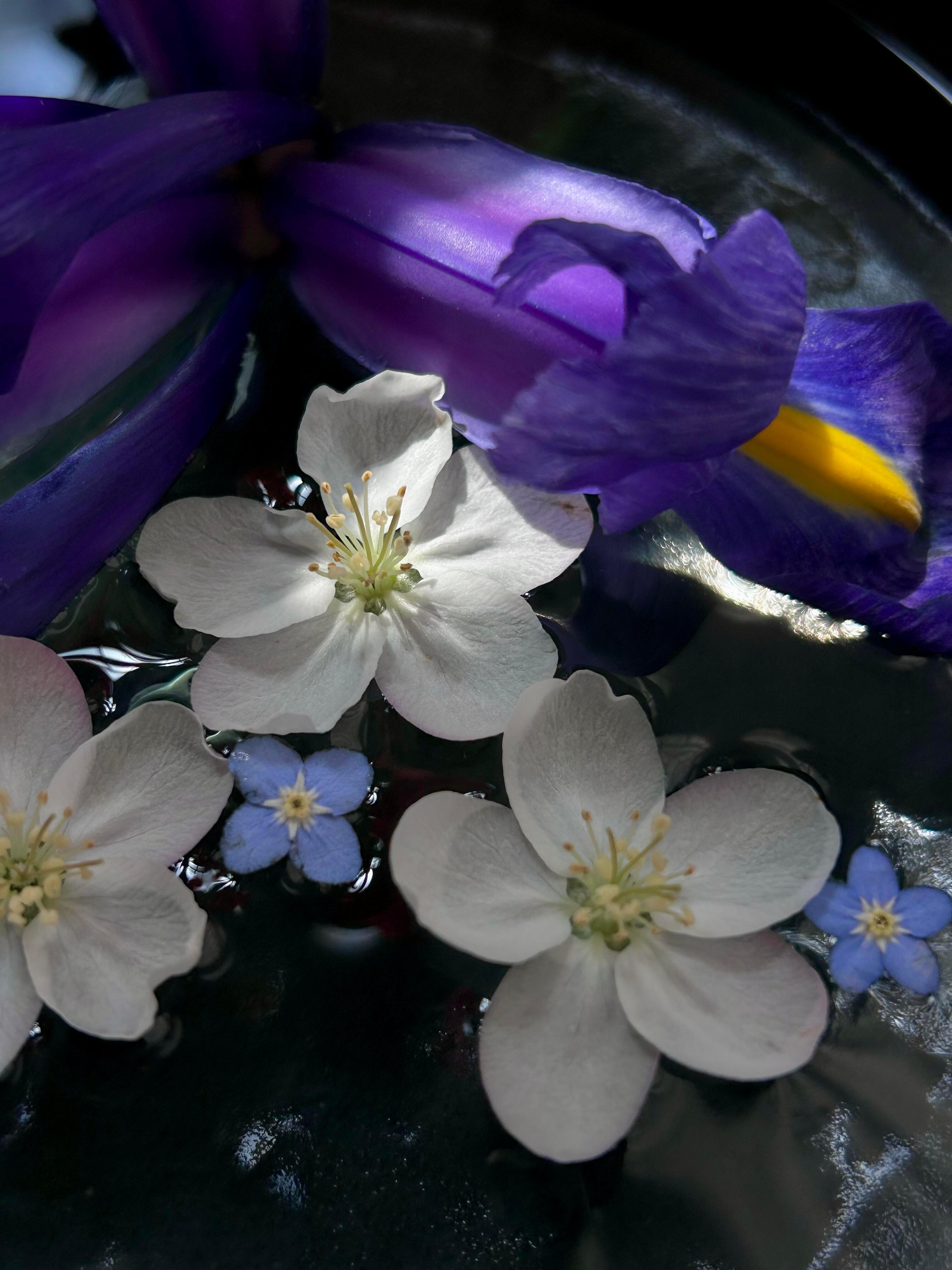 📸 ◡̈ 𝕤𝕙𝕒𝕣𝕖 取景器里的浪漫‹‹ ㋛💐 