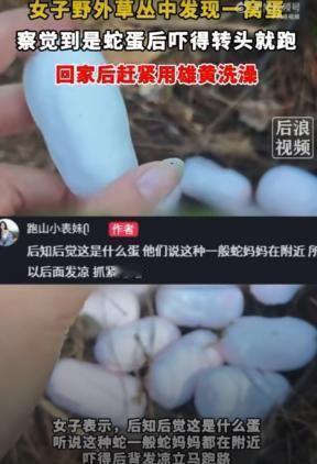 深山里的野蛋也敢乱摸？这种好奇心有时候真会让人惊出一身冷汗！5月6日，浙江一女子