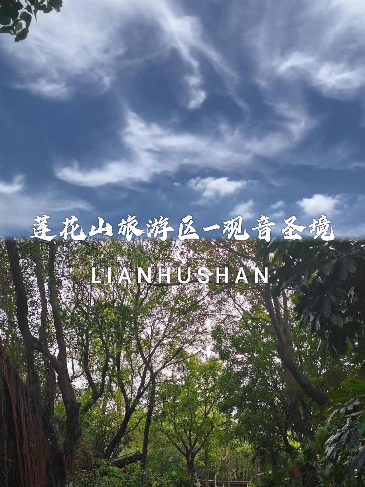 莲花山观音圣境｜静谧禅意之旅

在喧嚣都市找到一片净土，这次我终于探访了心心念念