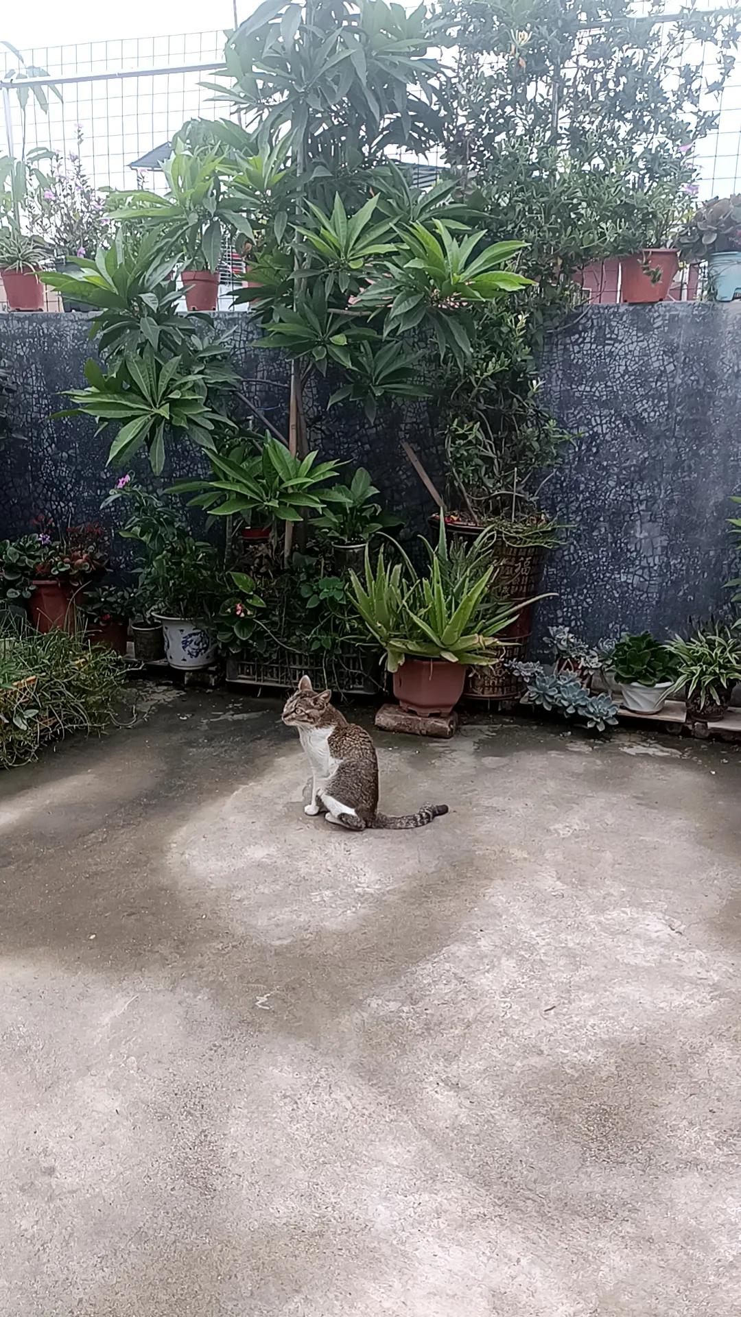 今天好大的雨啊