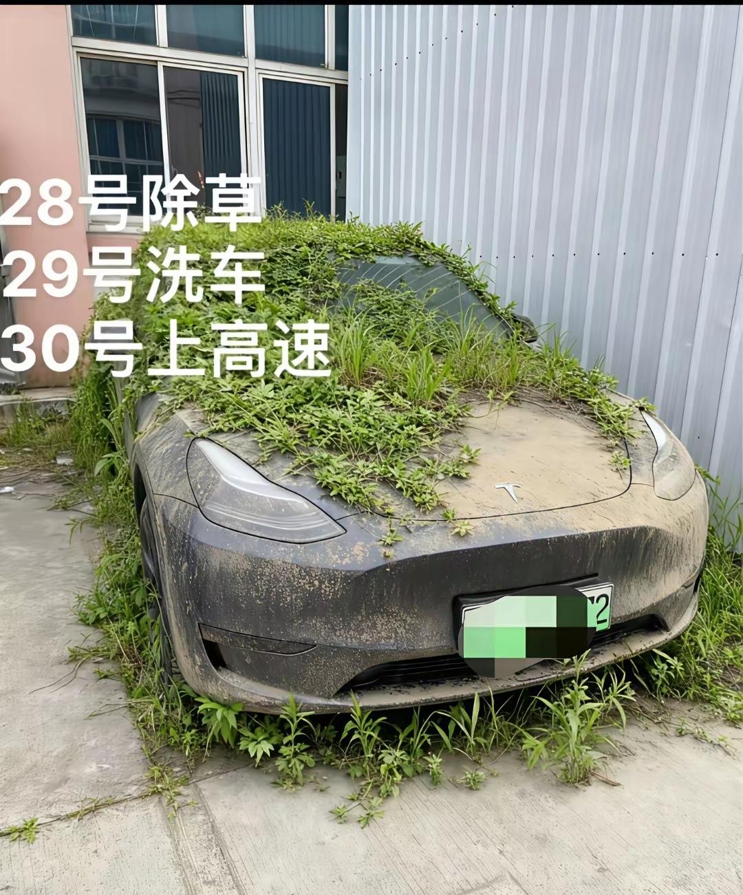 现在有多少汽车被停在农村，杂草丛生，逢年过节被拉出来溜两圈，这样的车存在的意义是