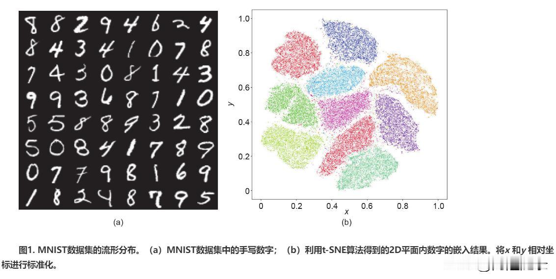 顾险峰是深度学习几何学解释流派的代表人物，几何学观点的解释力很强，半个小时就可以