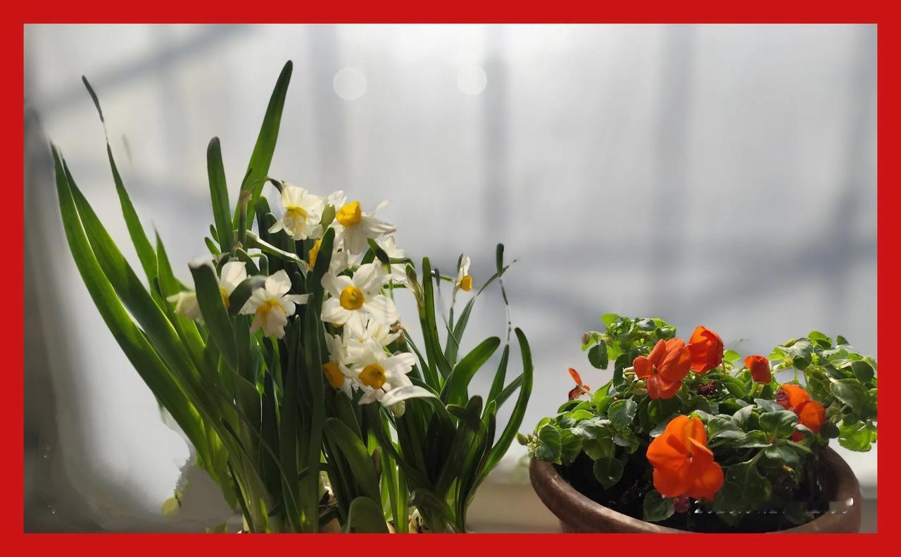 央视的春节联欢晚会，自1983年始，至今已举办42届。
这大概算是中国人“年味”