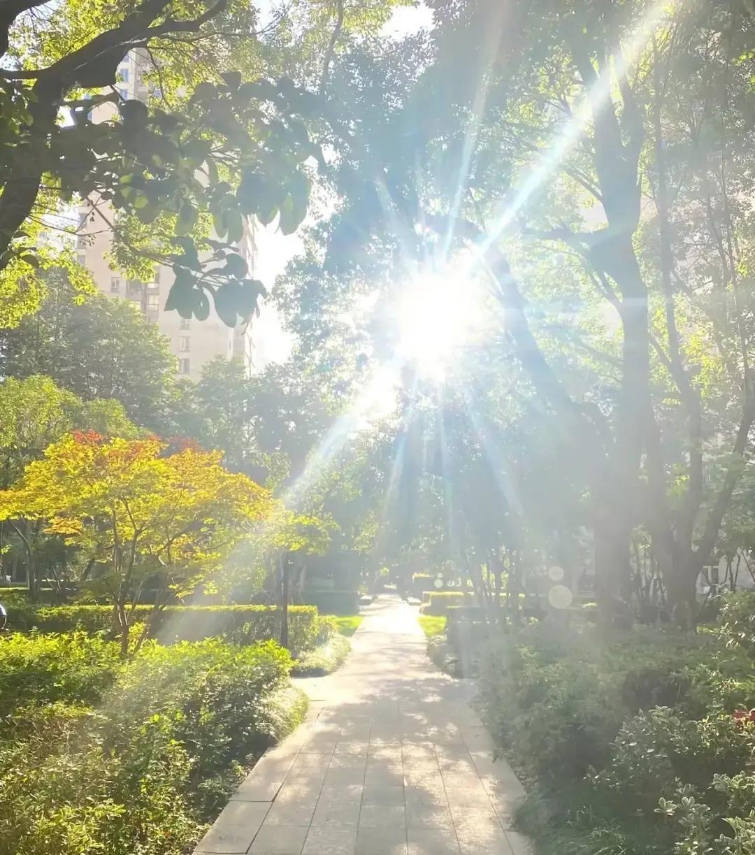 我算是想明白了，有些人这笔账就算不明白

省几十块的空调电费，最后搭进去几千的医