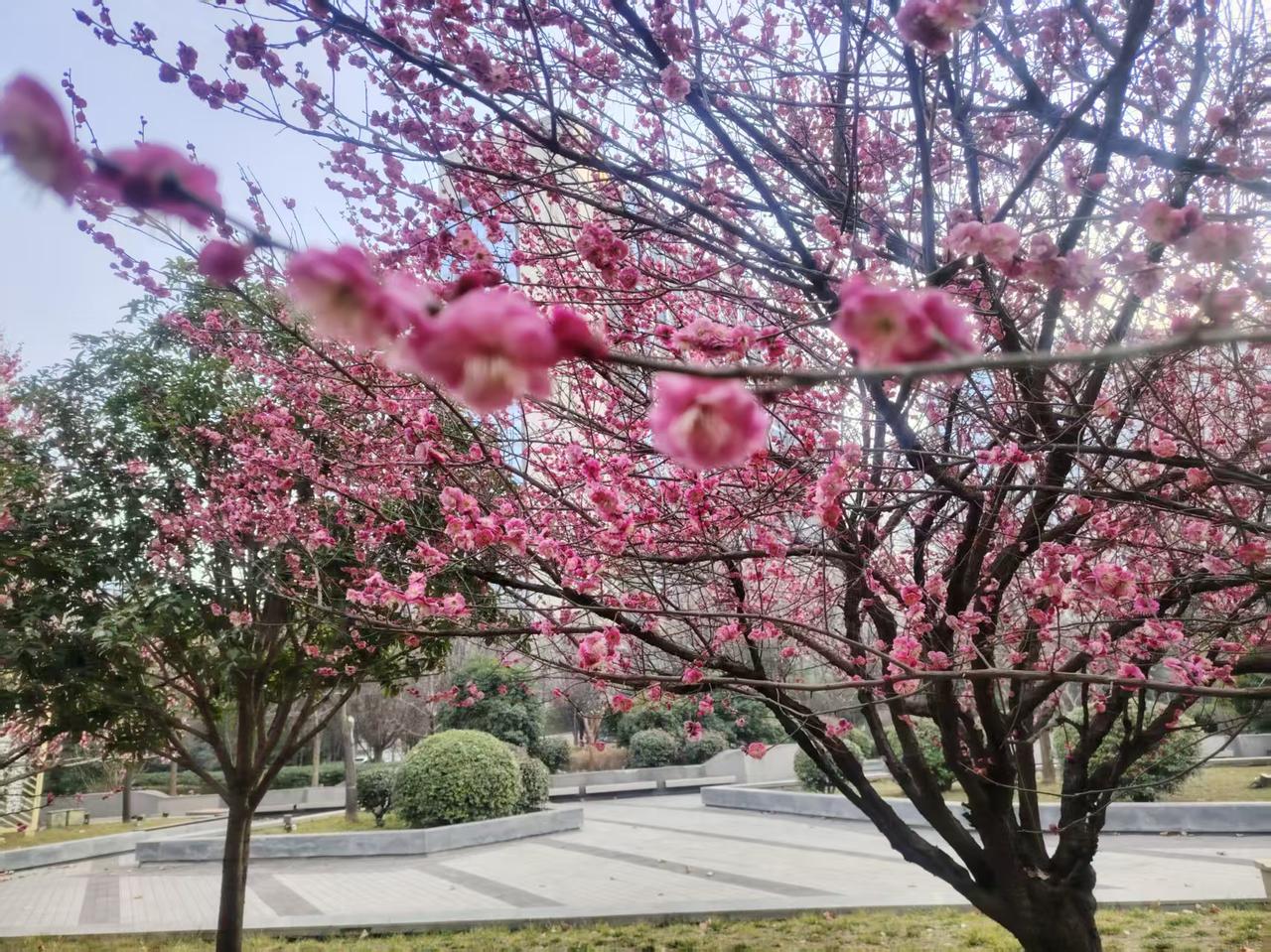 校长口中的春天，编造辉煌的过去，憧憬精彩的未来
春天来了，万物复苏，又到了开大会