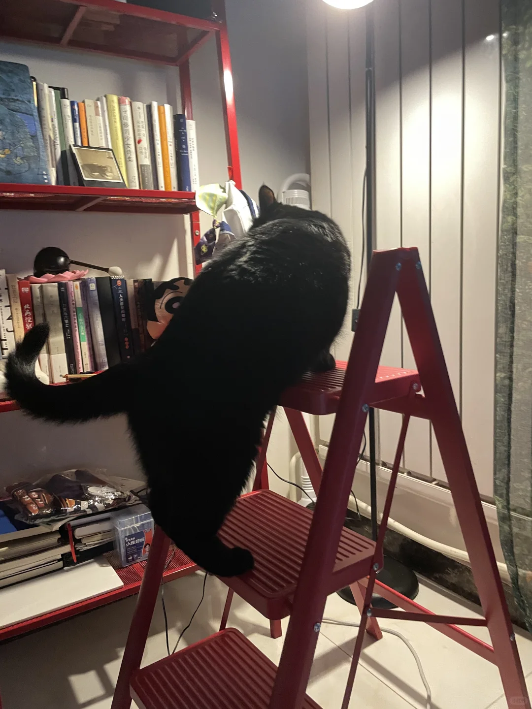 这位师傅，请问你是什么工作啊？