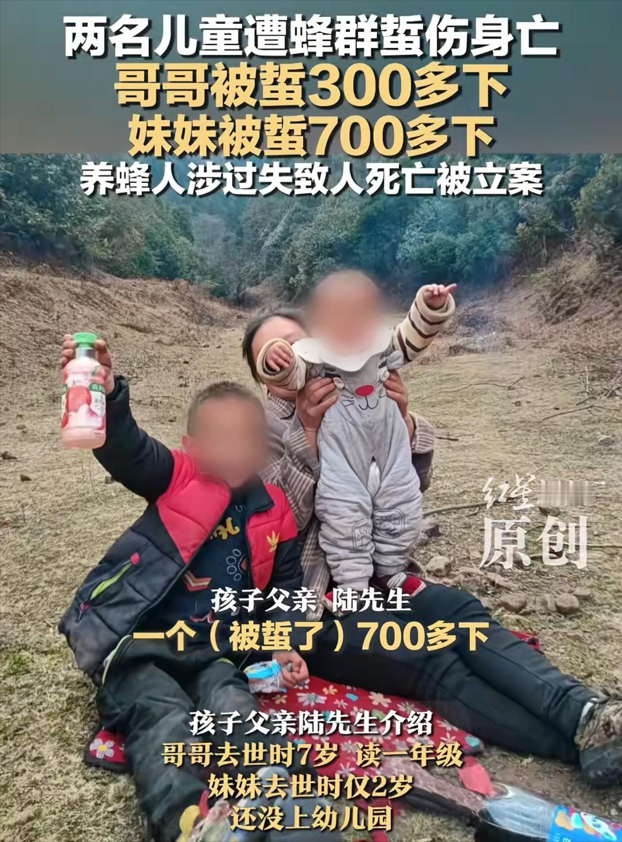 云南兄妹两人被马蜂蜇死后续，养蜂人李先生说200万的赔偿太高，他养蜂去年一年才挣