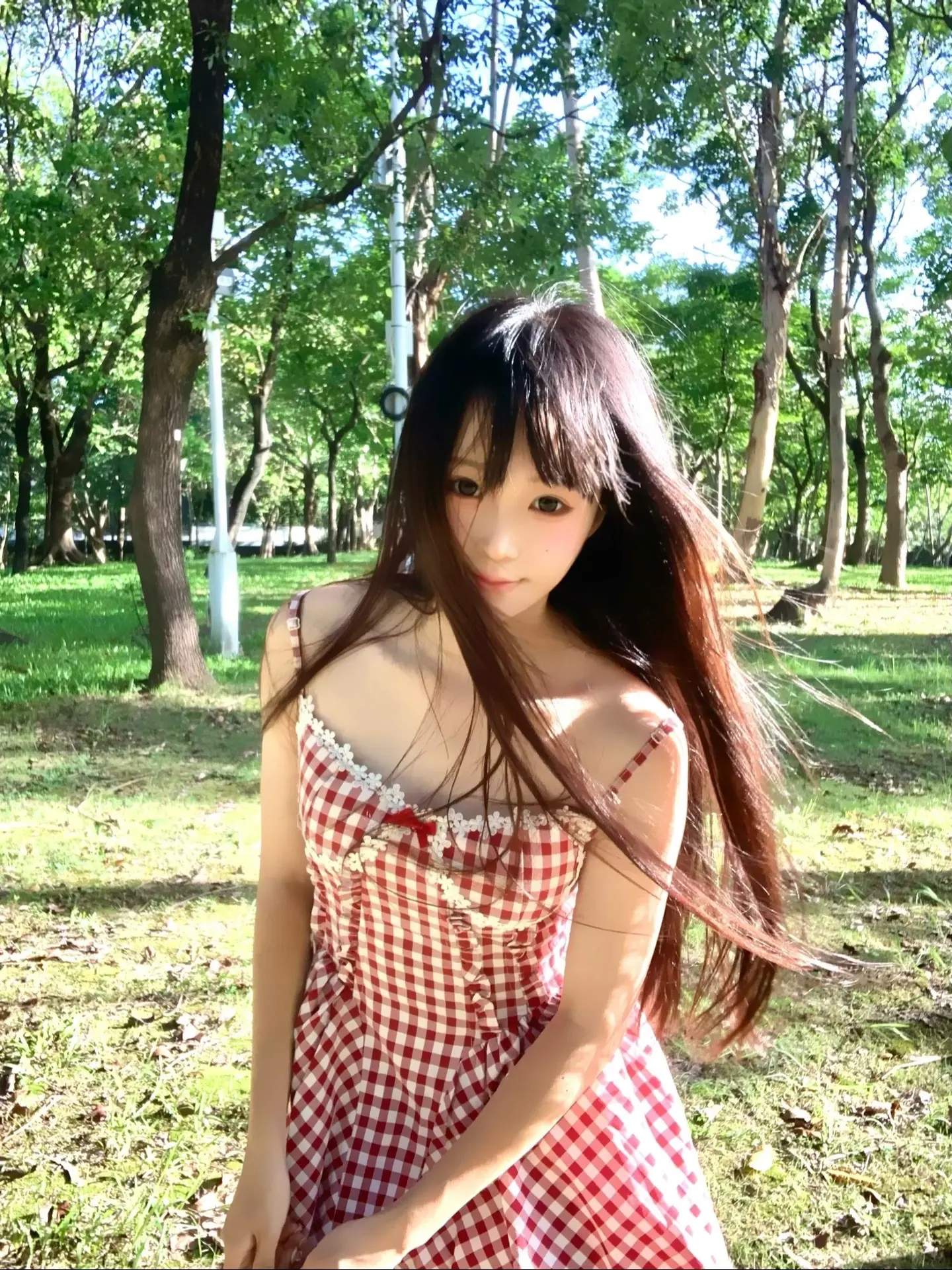 自由的风在森林里捉迷藏