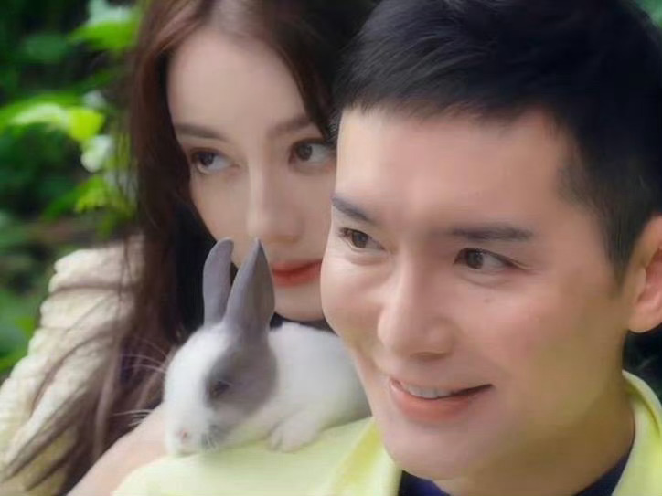 兔兔🐰 