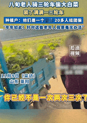 对于莱阳这些七八十岁组团“偷大白菜”的人，只能说“真的丑不要脸，真给烟台丢脸”，