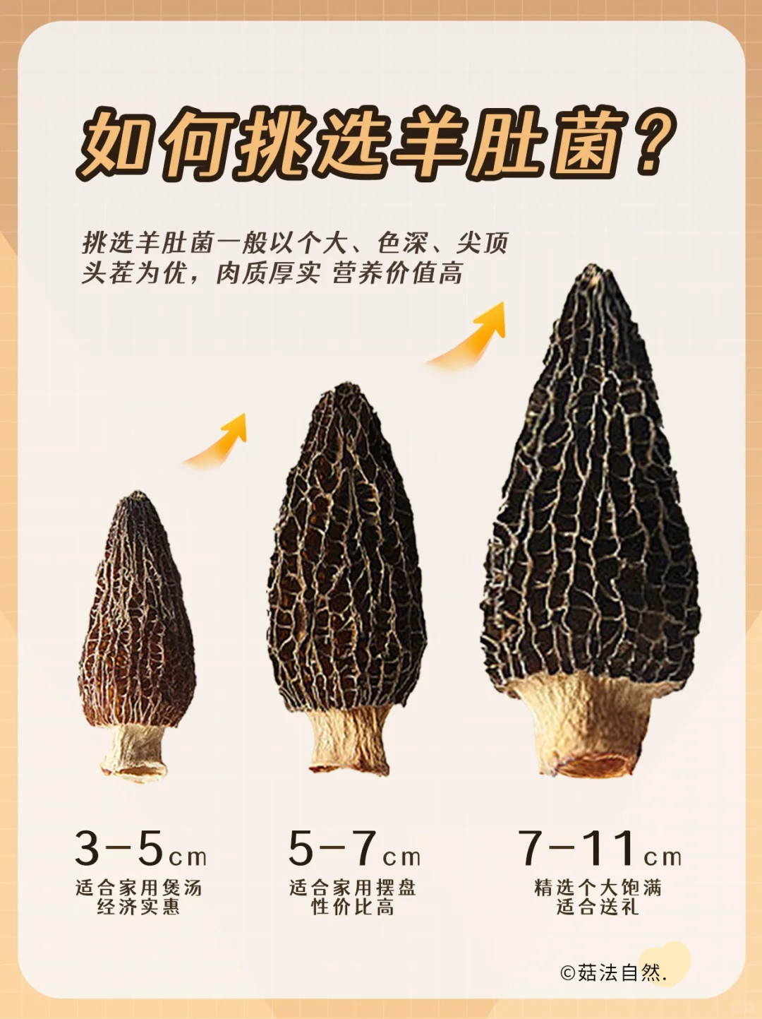 🔥4步教你买羊肚菌不踩坑～❌