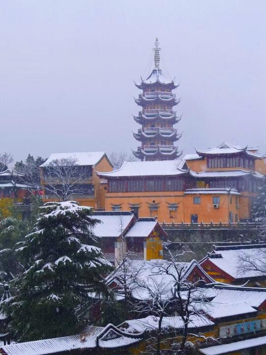 一年去10次‼️终于拍全了鸡鸣寺的春夏秋冬