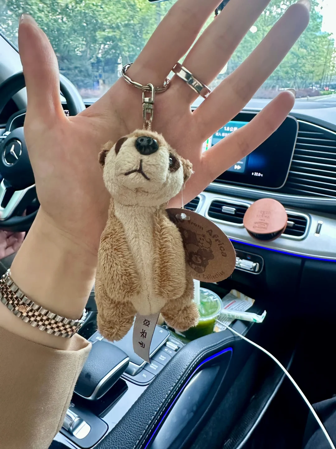 有点胖胖