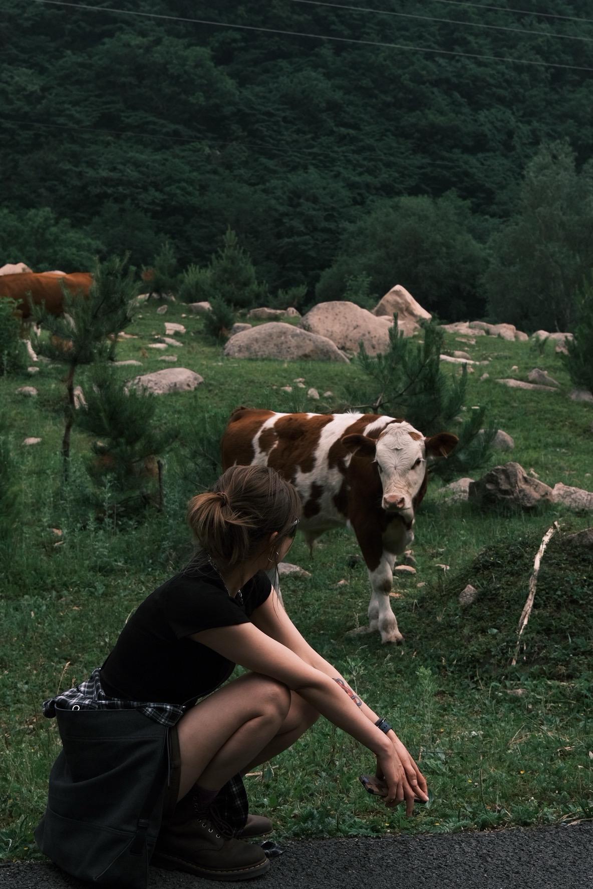 ⛰️自由的享受森林阳光     平平常常的满足