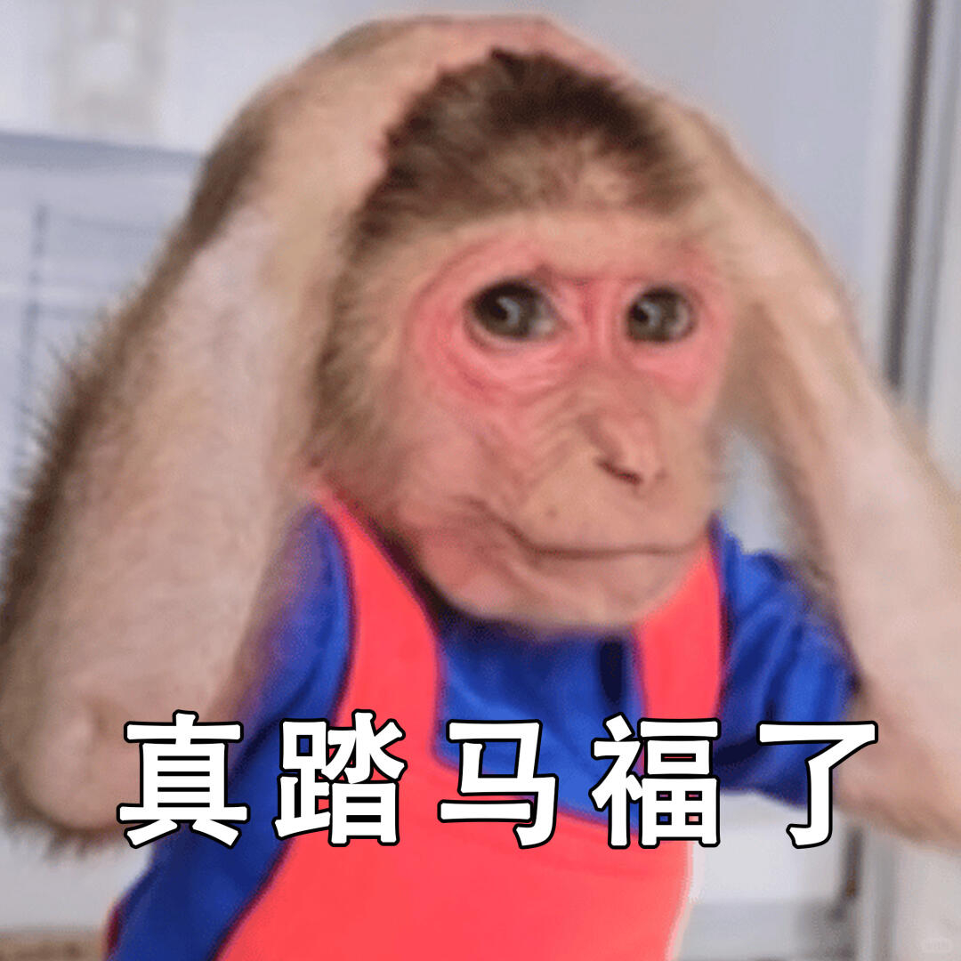 感觉我的靠山应该是被愚公移走了。 