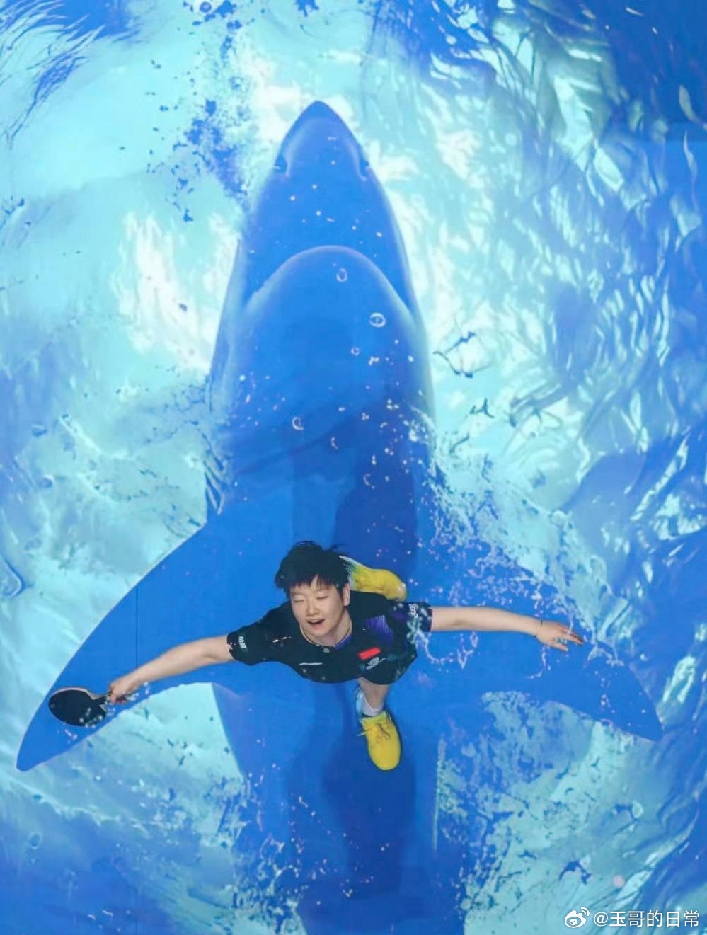 孙颖莎神图 孙颖莎在2026年澳门世界杯夺冠时的多张照片被广泛誉为“神图”，聚焦