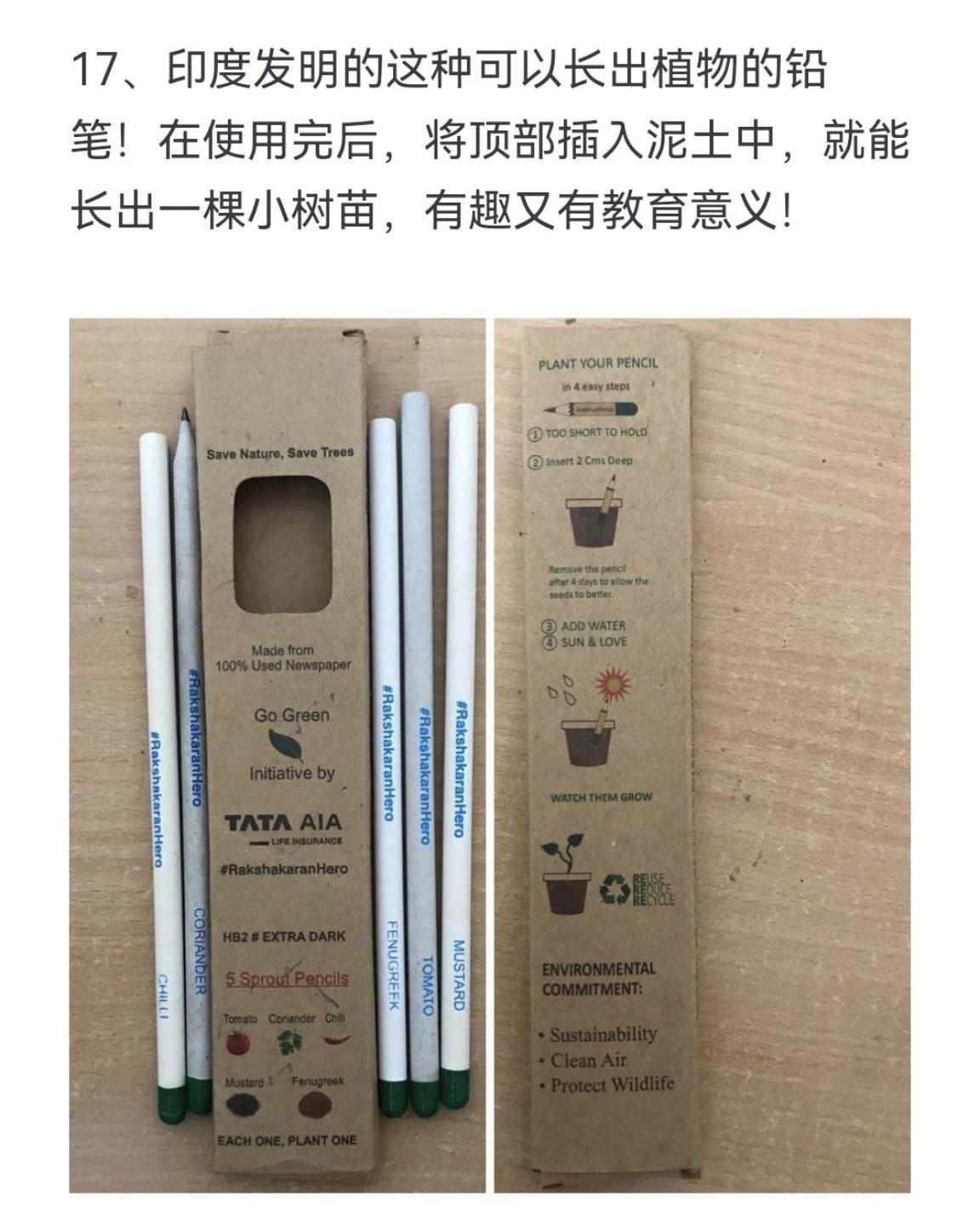 印度发明的这种可以长出植物的铅笔