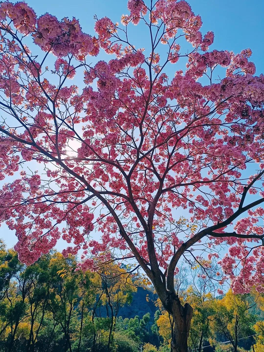 爷爷说，要狠狠记住的，人性铁律：

1. 邻居，不做朋友。

2. 父母去世后，