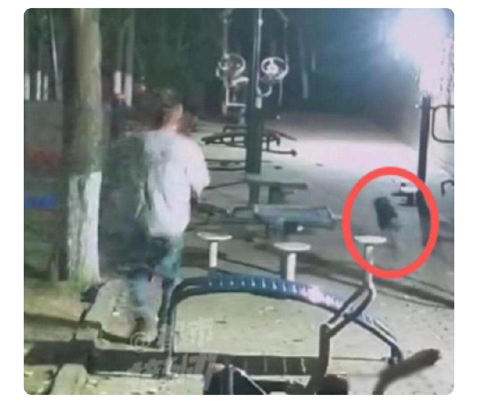 咬到见骨，狗主补办狗证，反过来索赔

我觉得现在有些人养狗，真把狗命看得比人命金