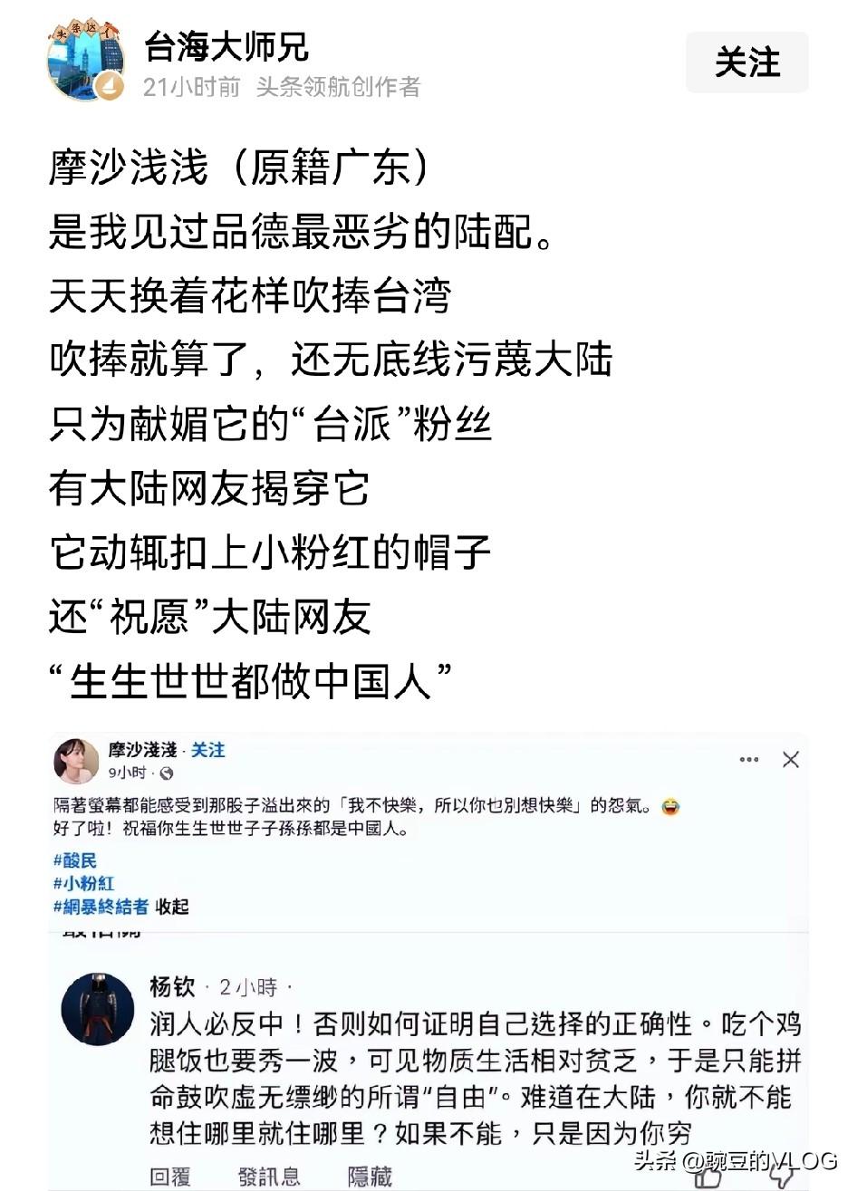比青鸟更青鸟的陆配…[捂脸]
虽然还顶着陆配这个歧视性名称，可台湾仍有几个陆配蹦
