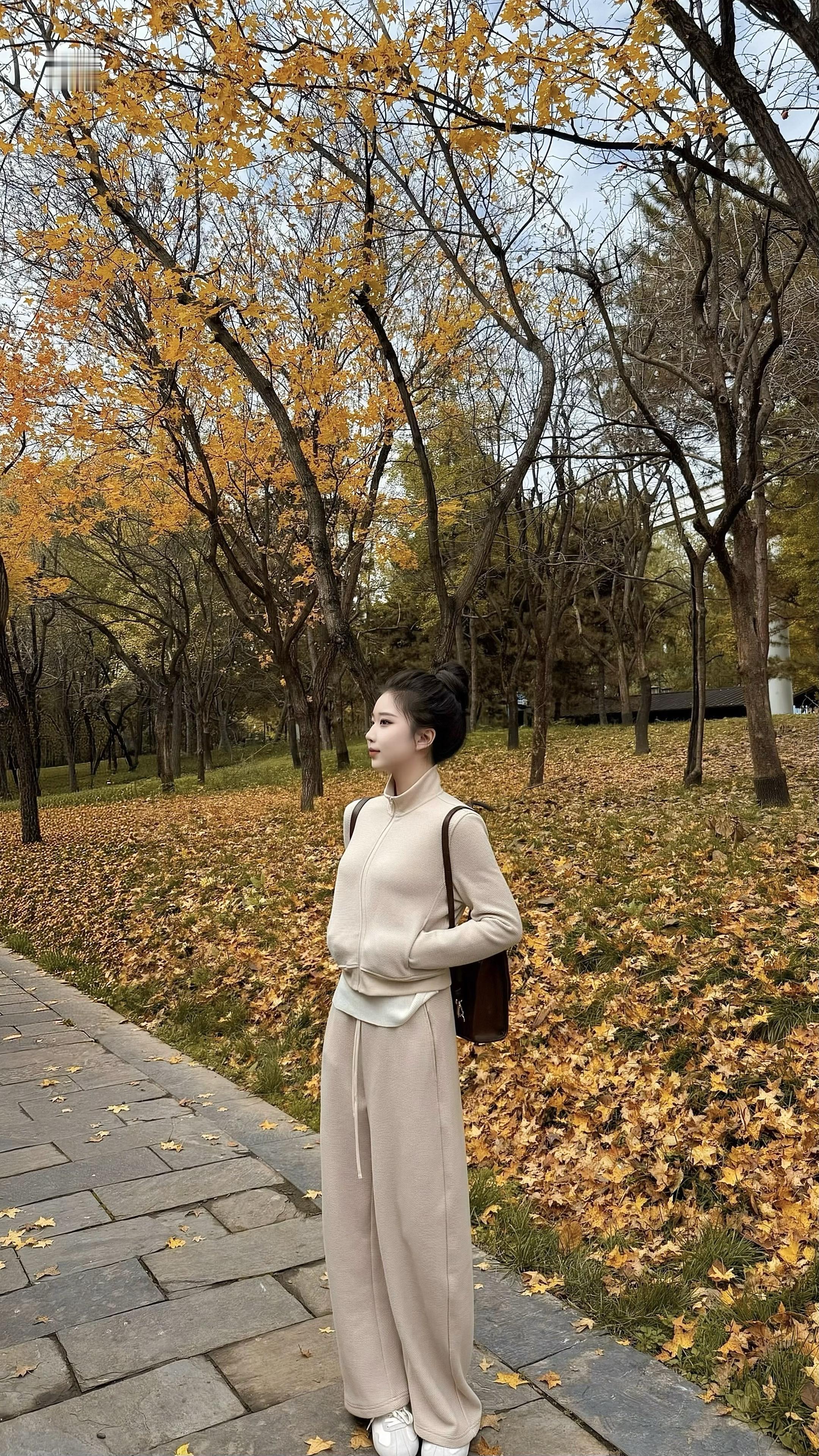 一晃又一秋 有人再见 有人再也不见。