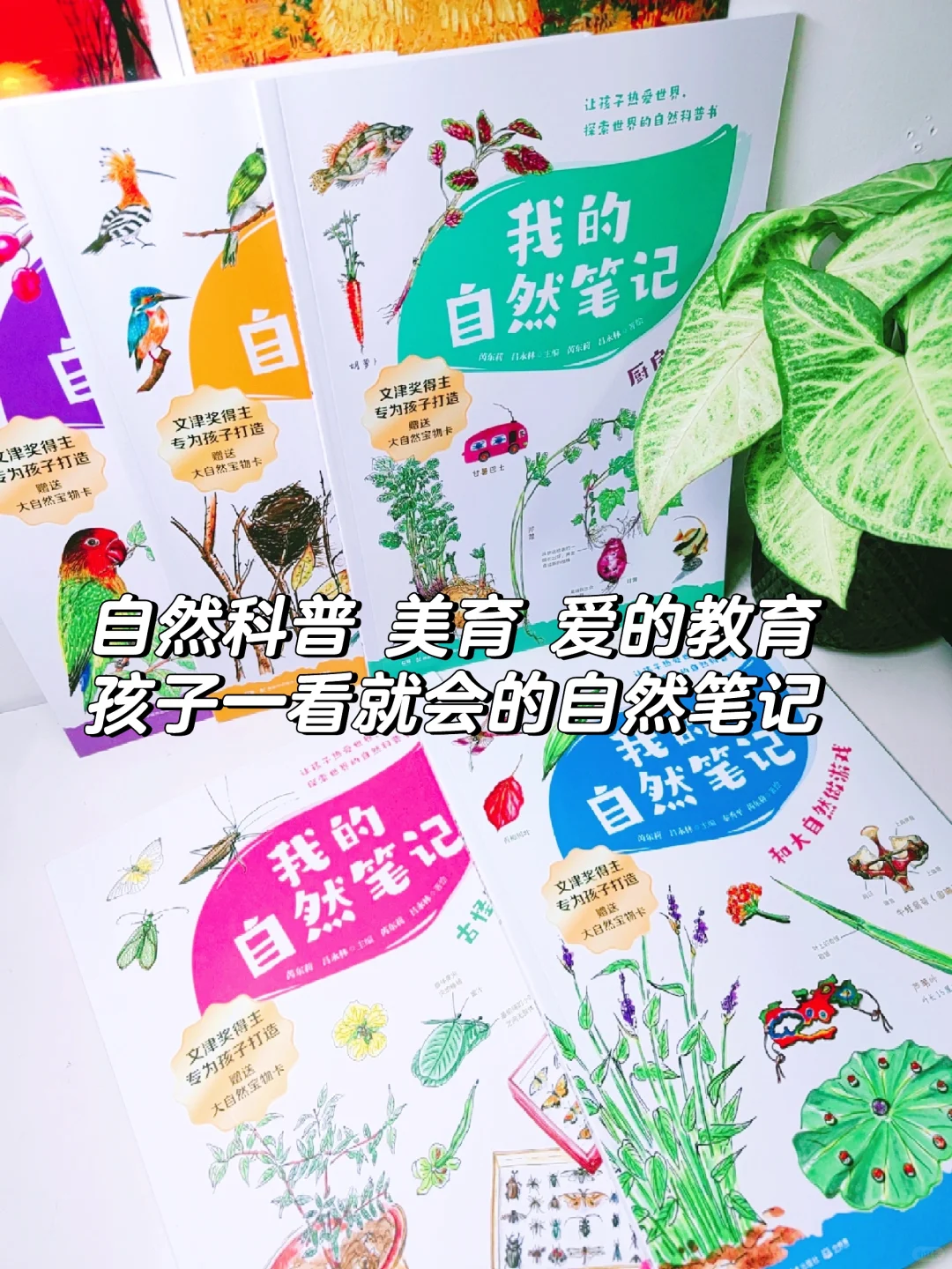 自然笔记+美育，让孩子感受到万物有灵！