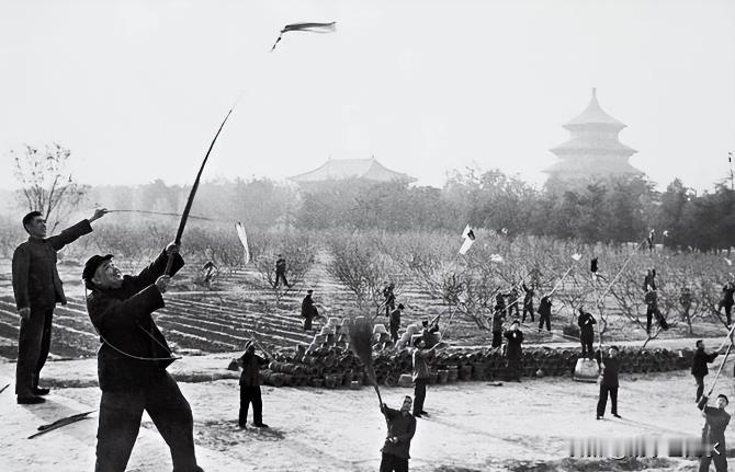 麻雀总是不太受人待见，只因为它吃粮食。
历史上至少有两次大规模灭绝麻雀的事件。