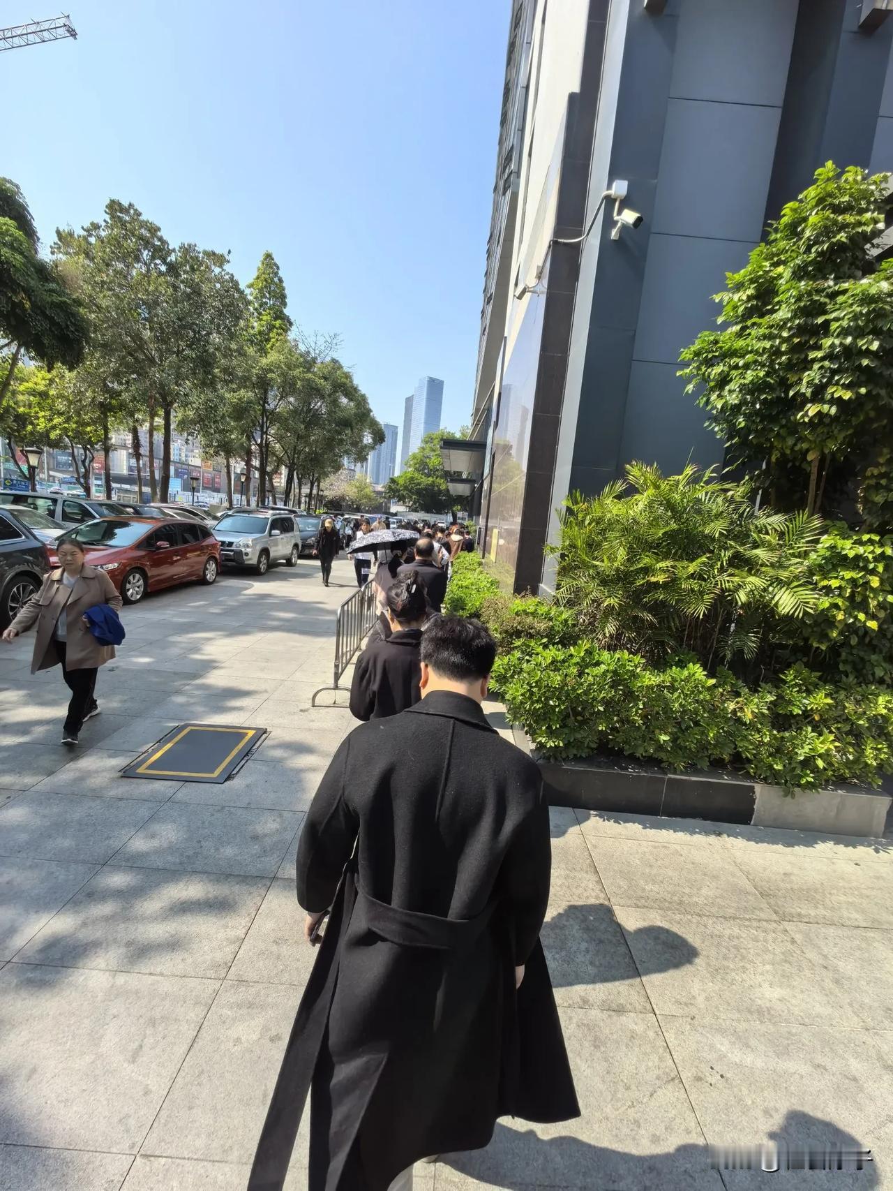 办证的人可真多！正月里深圳办理出入境证件的人太多啦

今天正月十三了，深圳的中小