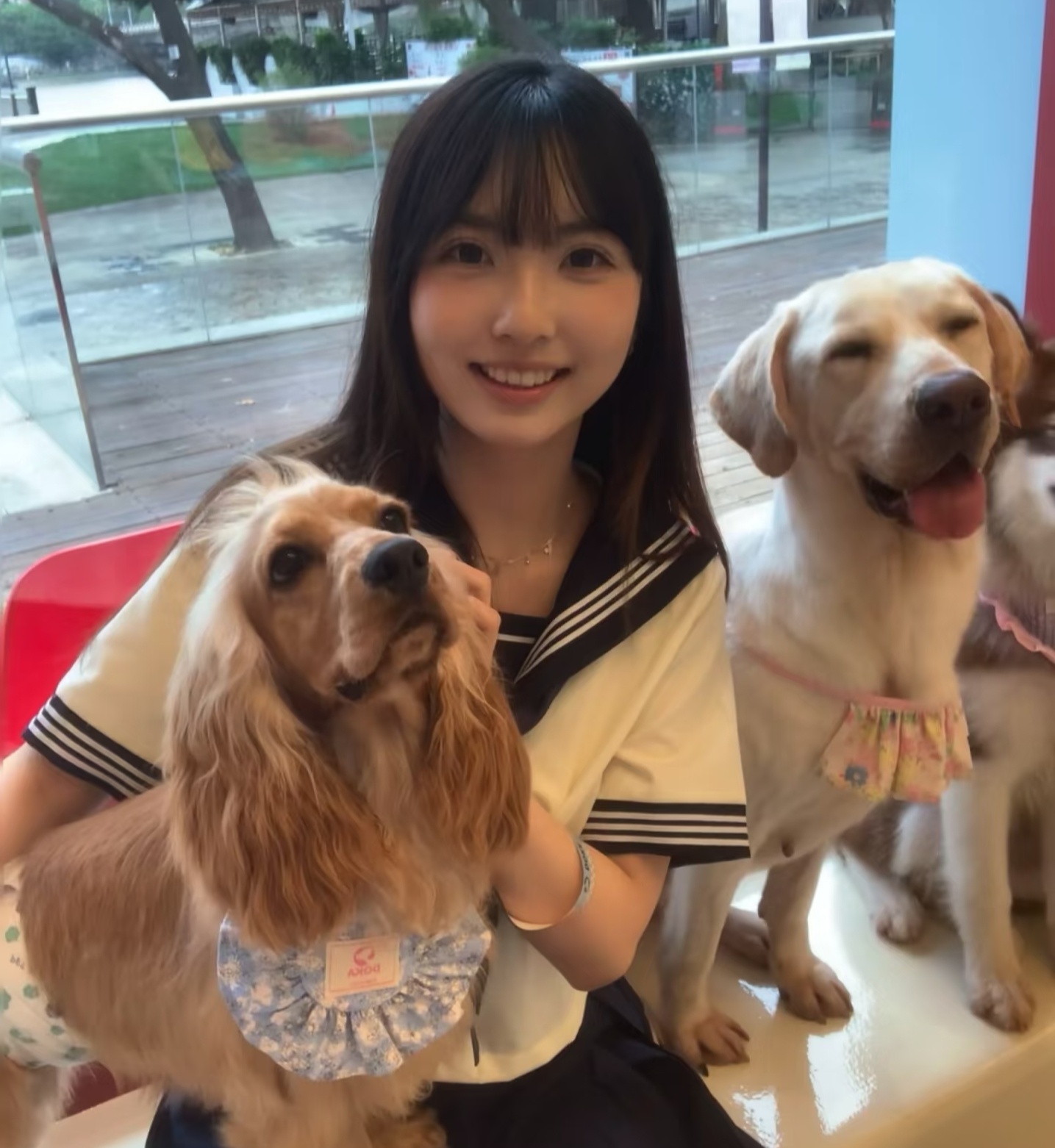 每天早起打卡正经又好看的小伙伴们早鸭 ​​​