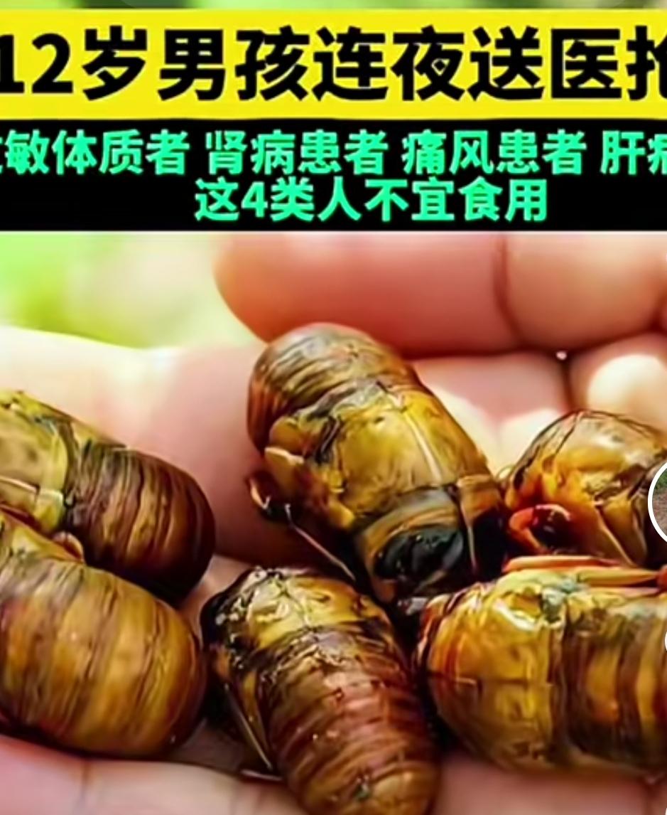 头条热文｜贪吃15只炸知了！男子浑身布满红斑刺痛难忍，急诊医生紧急提醒
 
夏天