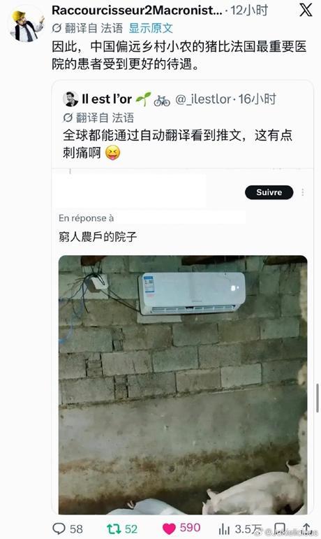 🔻感谢热心网友jo分享。🔻热知识：猪没有功能性汗腺，无法通过出汗有效散热，加