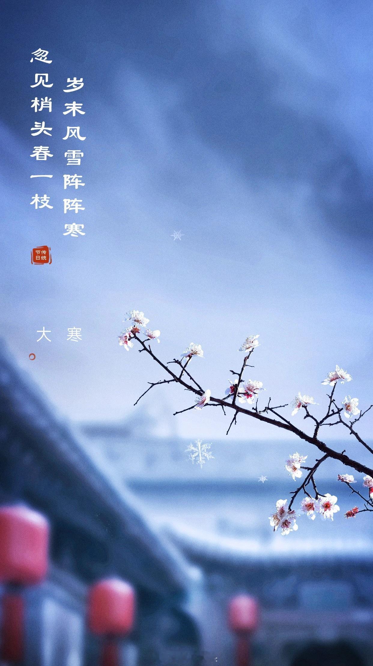 大寒  今日大寒！  