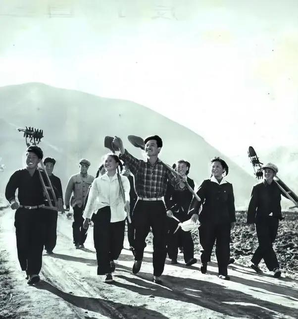 1977年，知青们即将结束上山下乡的生活，于文娟敲响了男友家的门，她含泪脱下外衣