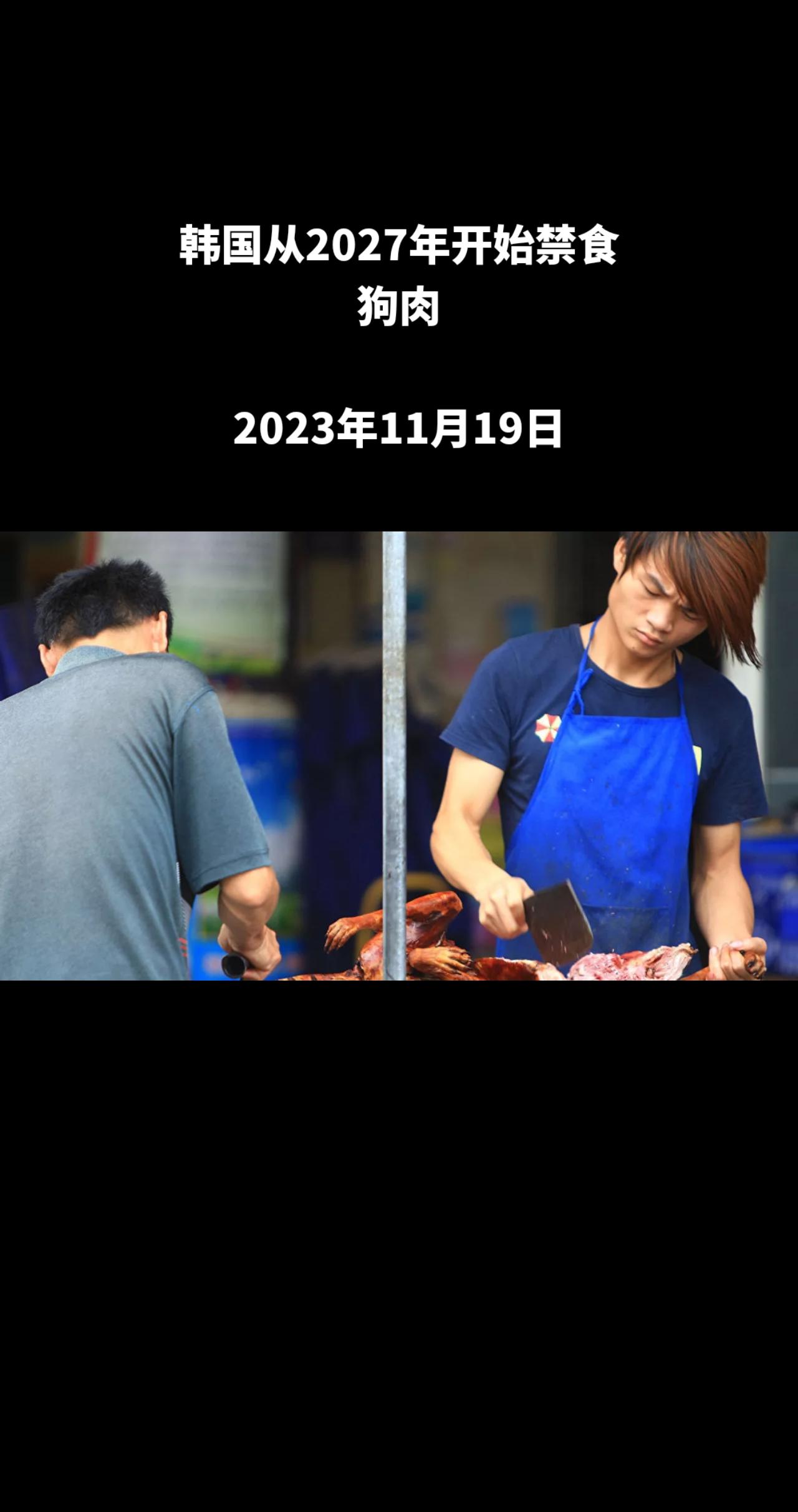 根据韩联社报道，韩国政府和执政党国民力量决定在年内推进《禁食狗肉特别法》的制定工
