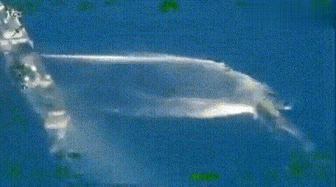 中方其实给菲律宾留足了时间，菲律宾不知珍惜，终究错过了。

5月31日，菲律宾防