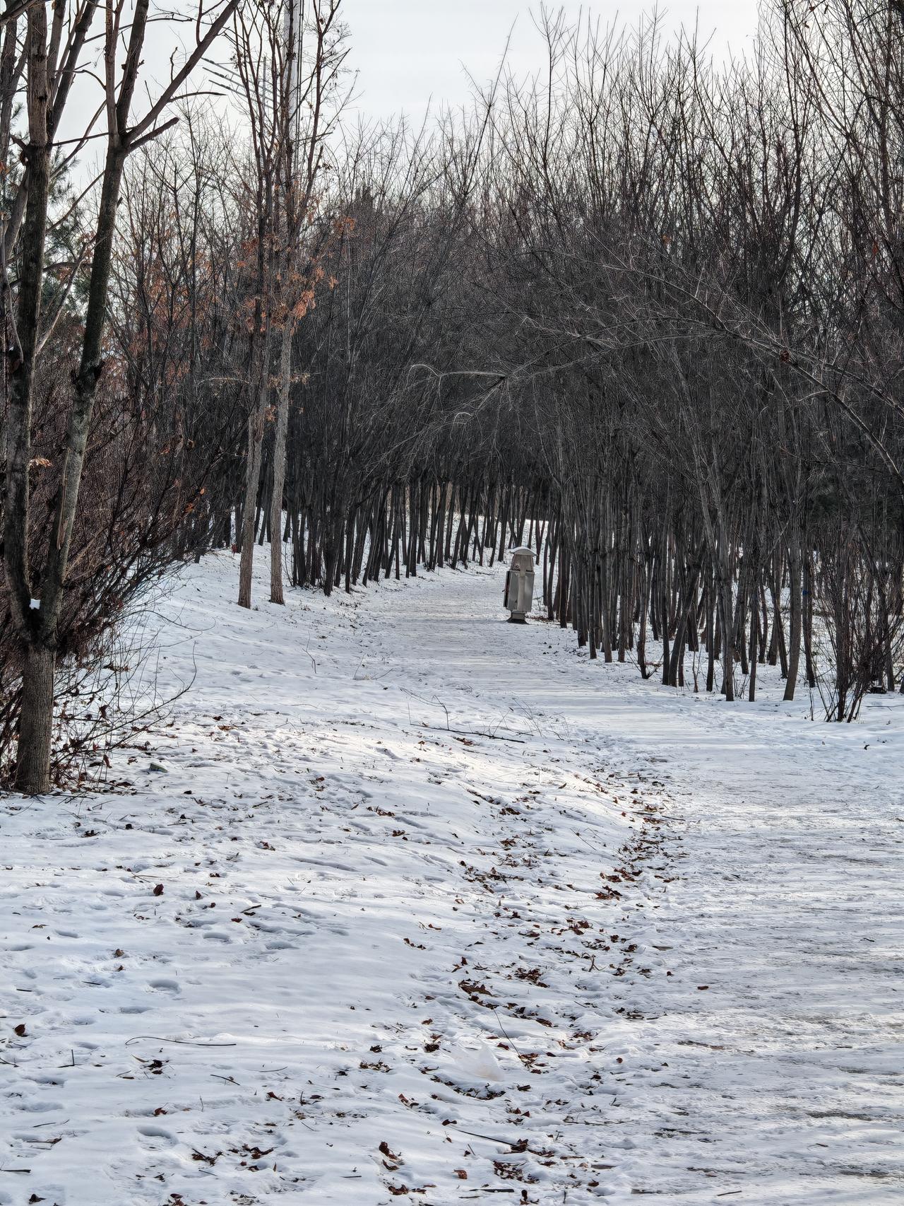 与痛风斗争的历程93
 
   早上起床有雾，天气多云。今天早上起床右手肘有轻微