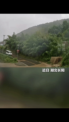 这名司机火了！湖北宜昌，暴雨天，一辆班车行驶在山路上，司机熊飞突然瞥见路边竹林在