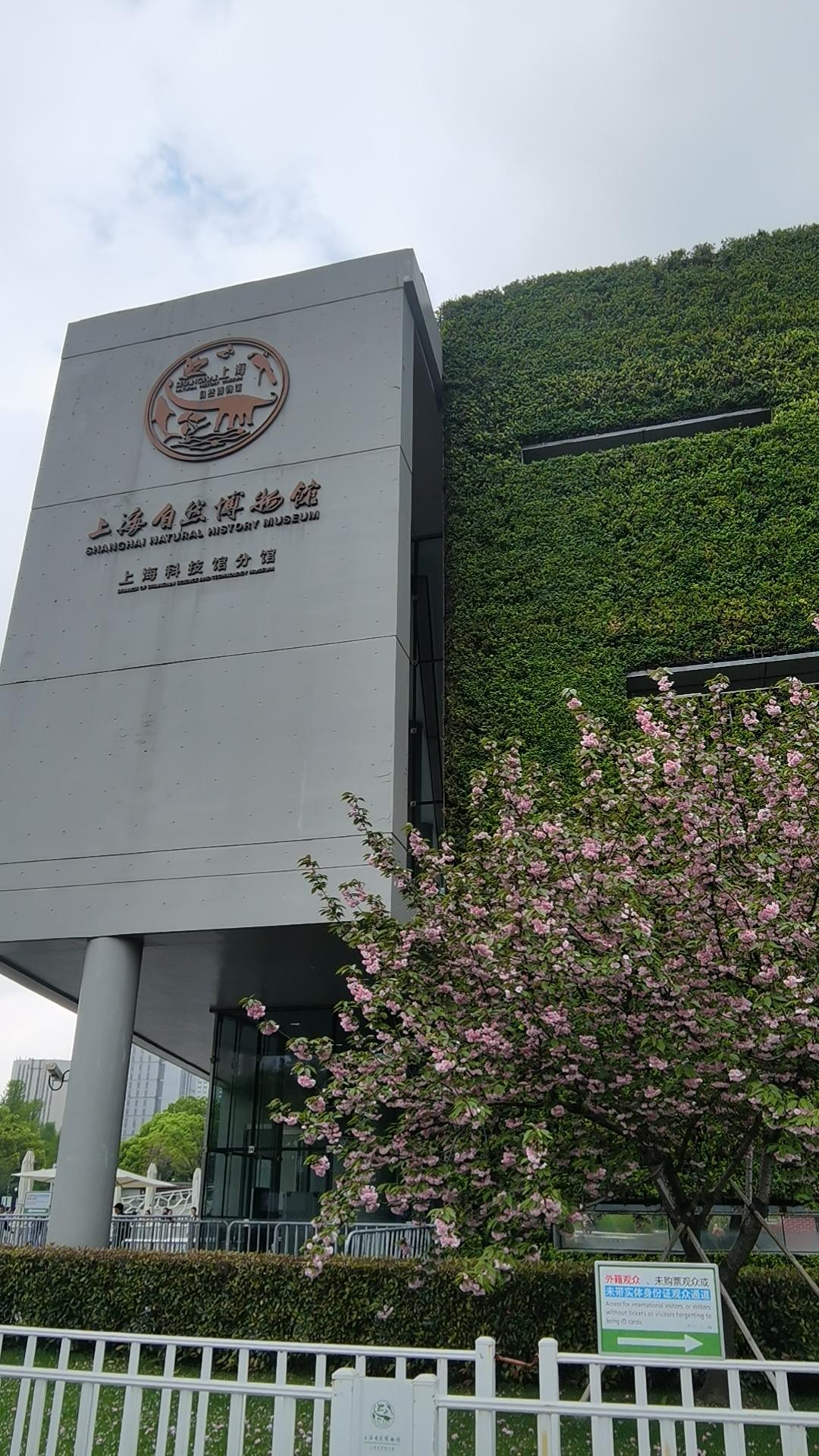 [烟花][烟花]昨天下午开车五个小时，从千岛湖出发来到了上海。
[烟花][烟花]